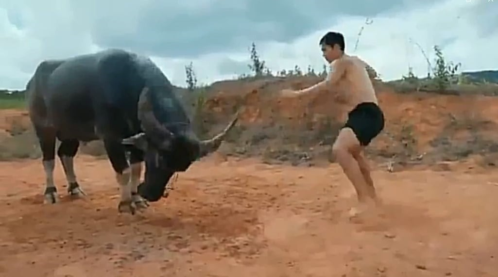 Fighter (2022)