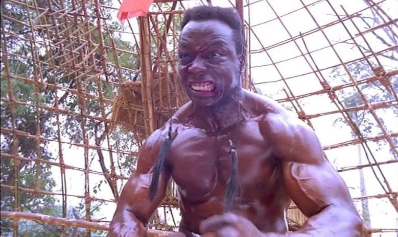 The King of the Kickboxers (1990)