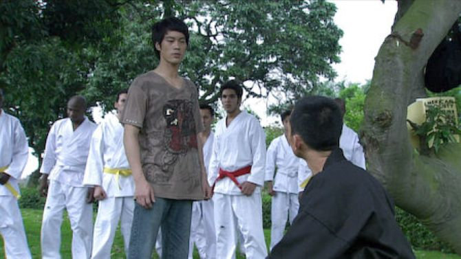 The Legend of Bruce Lee (2008)