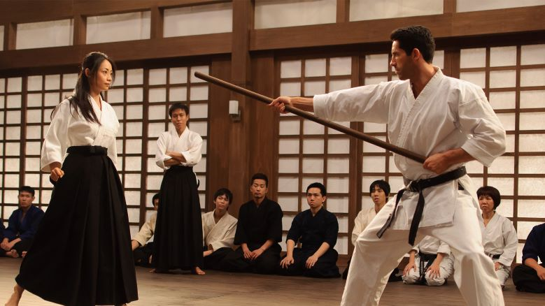 Ninja: Shadow of a Tear (2013)